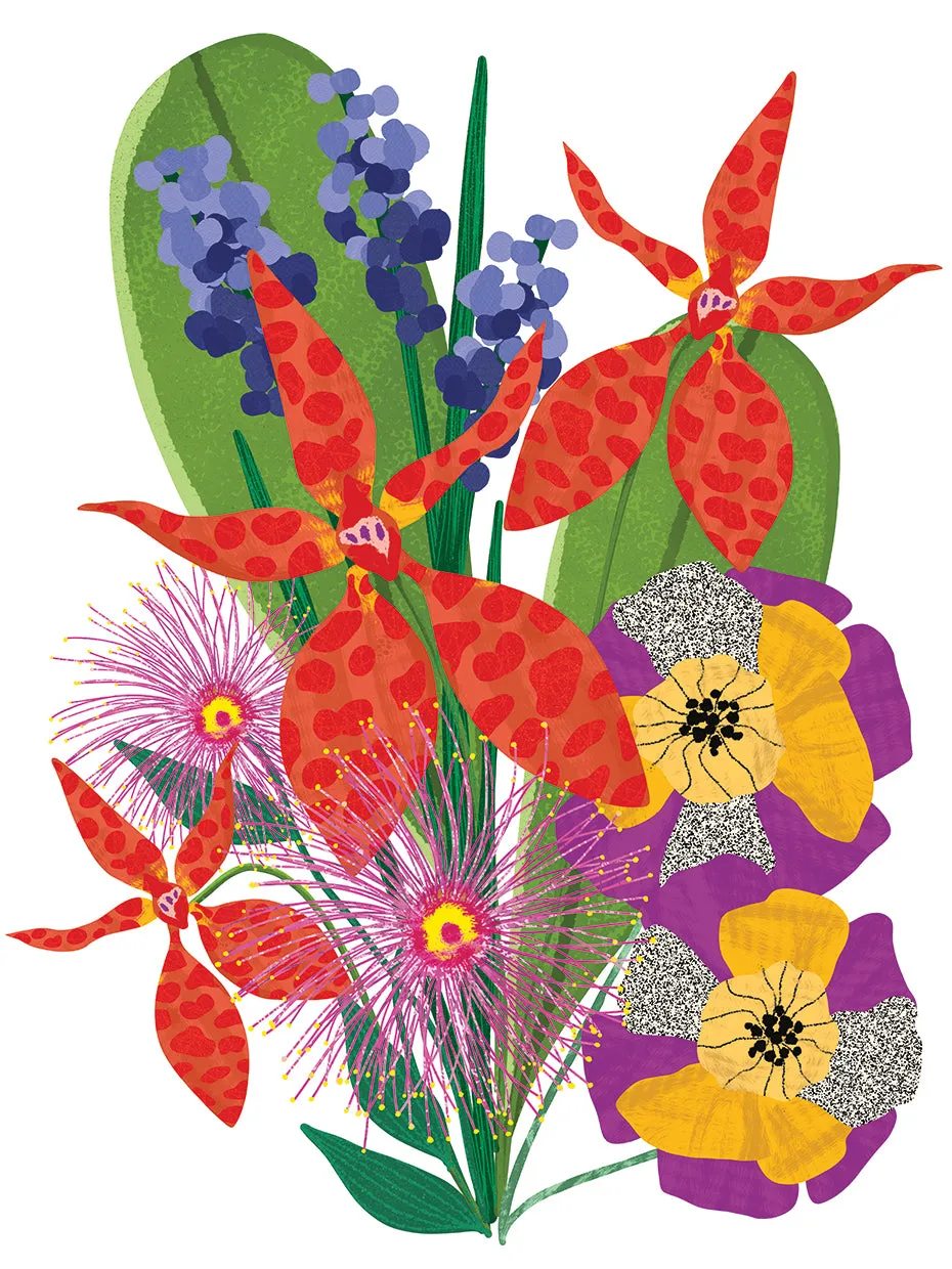 Bold Popping Flowers