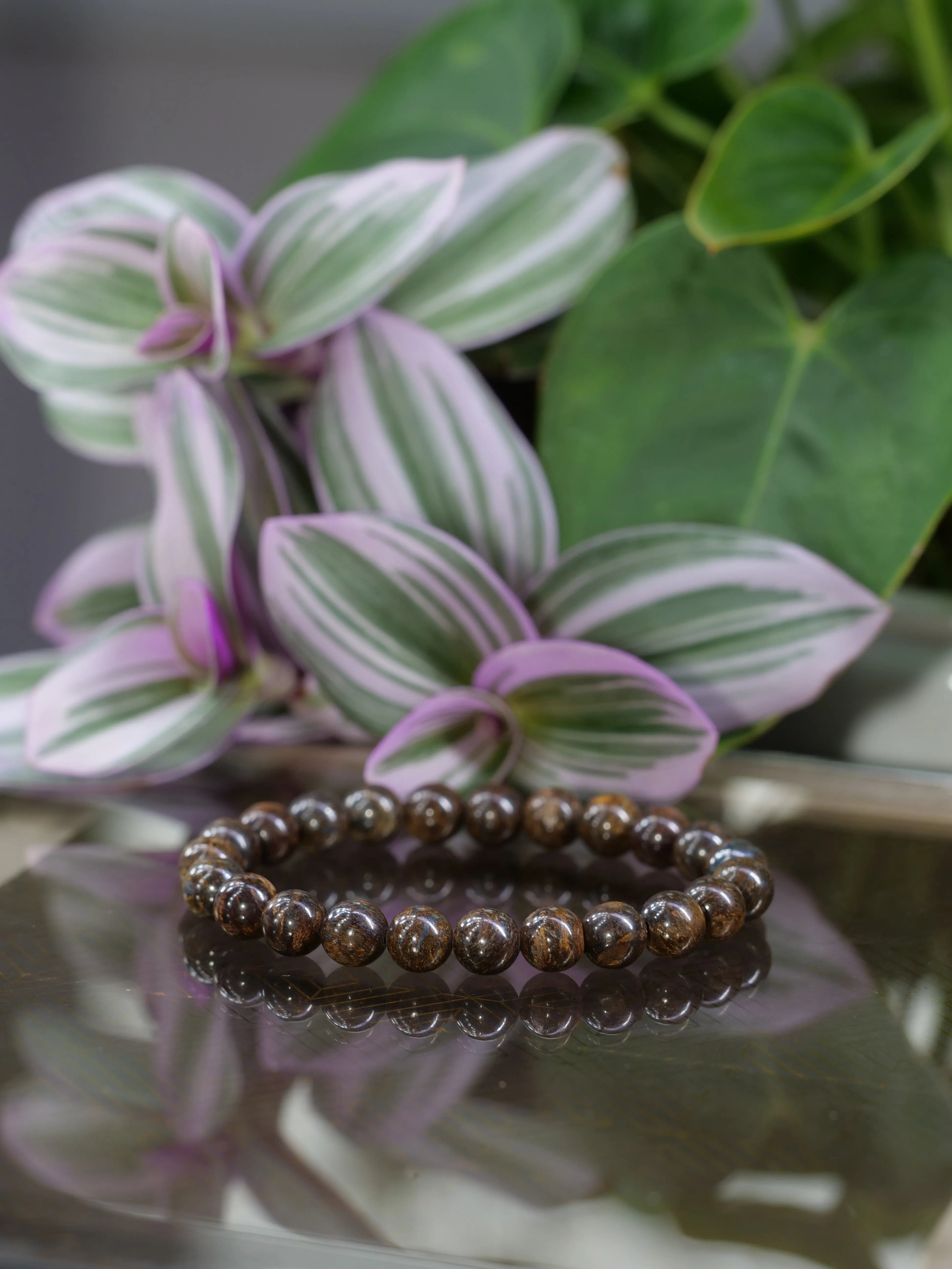 Bronzite 8mm Beaded Natural Gemstone Elastic Bracelet, Genuine Top Grade Gift Jewelry, Men Women Fashion Crystal Energy Jewellery