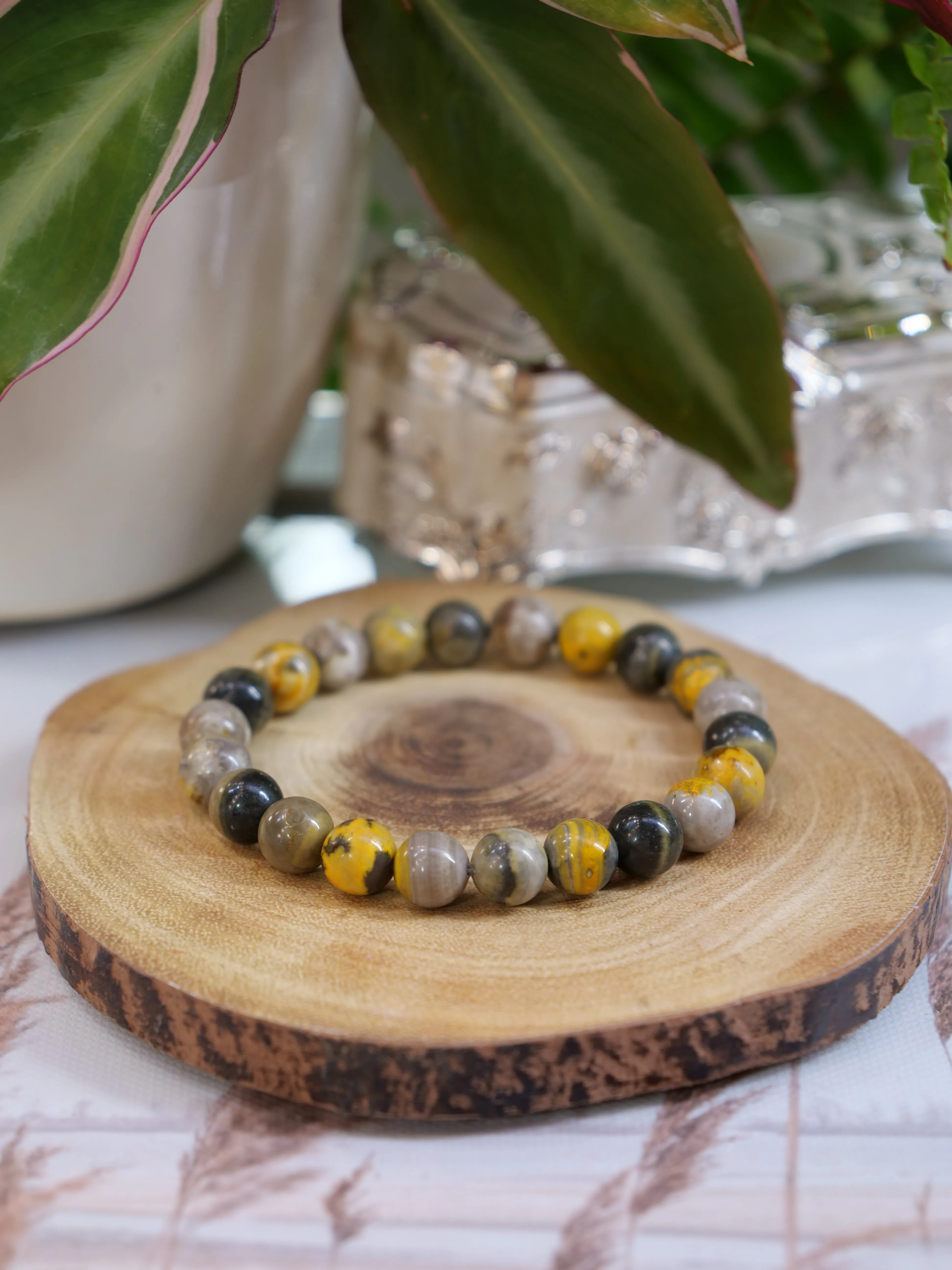 Eclipse Jasper 8mm Beaded Natural Gemstone Elastic Bracelet, Genuine Top Grade Gift Jewelry, Men Women Fashion Crystal Energy Jewellery