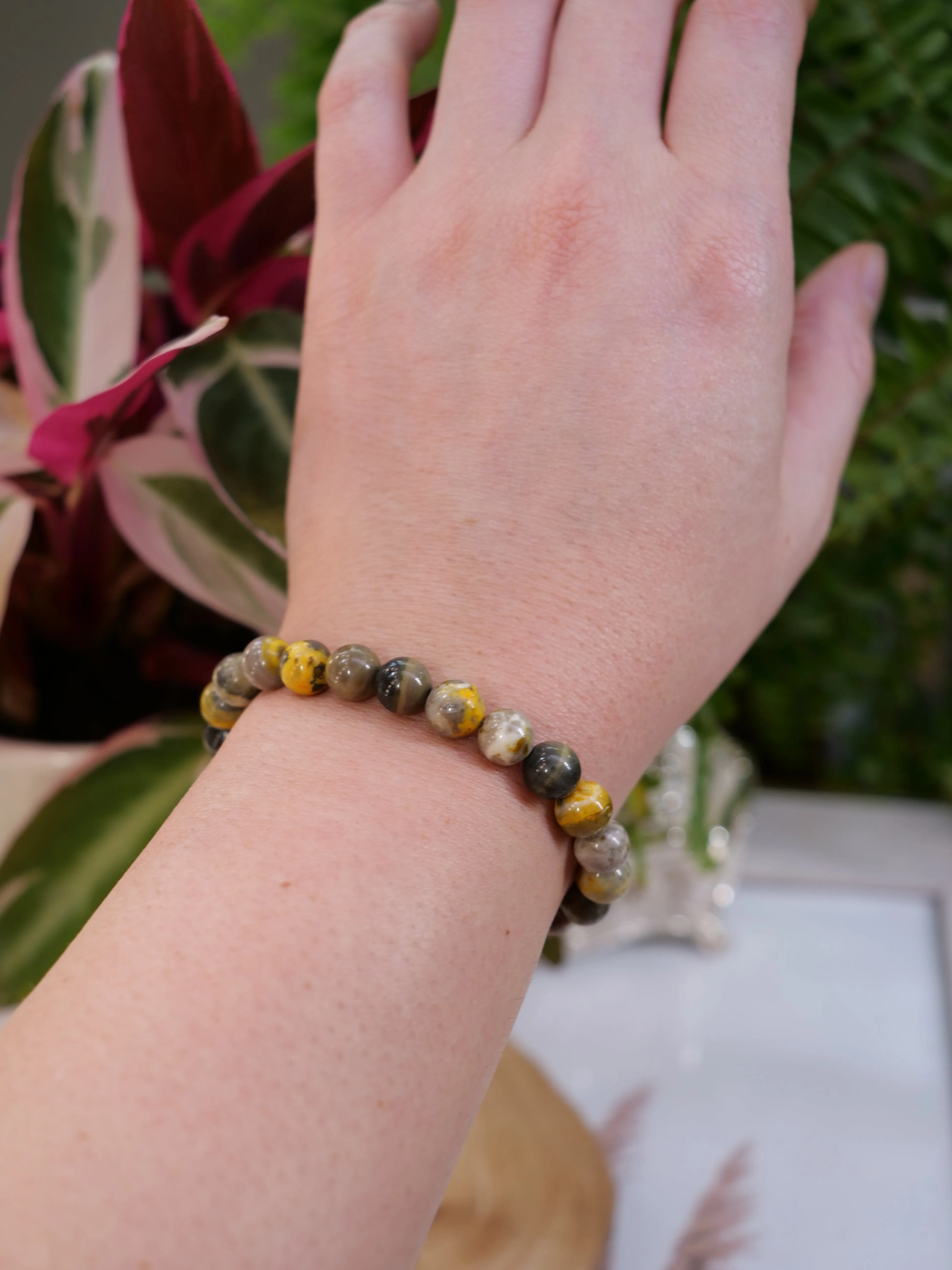 Eclipse Jasper 8mm Beaded Natural Gemstone Elastic Bracelet, Genuine Top Grade Gift Jewelry, Men Women Fashion Crystal Energy Jewellery