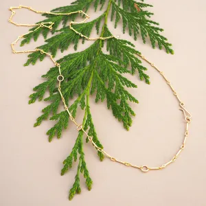 Elevate Chain