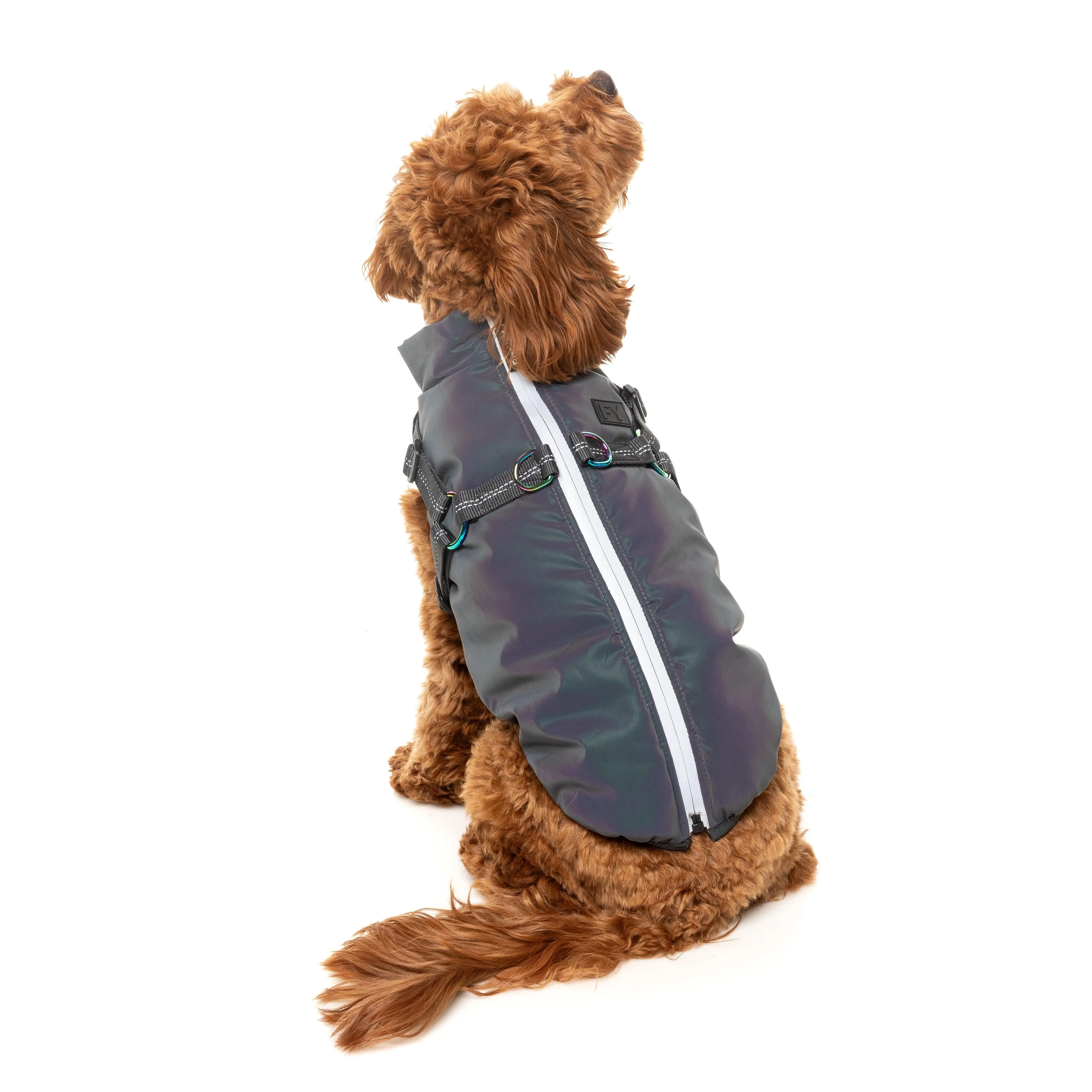 FuzzYard Dog Apparel Harness Jacket Reflective Flash Size 5 ^ ^