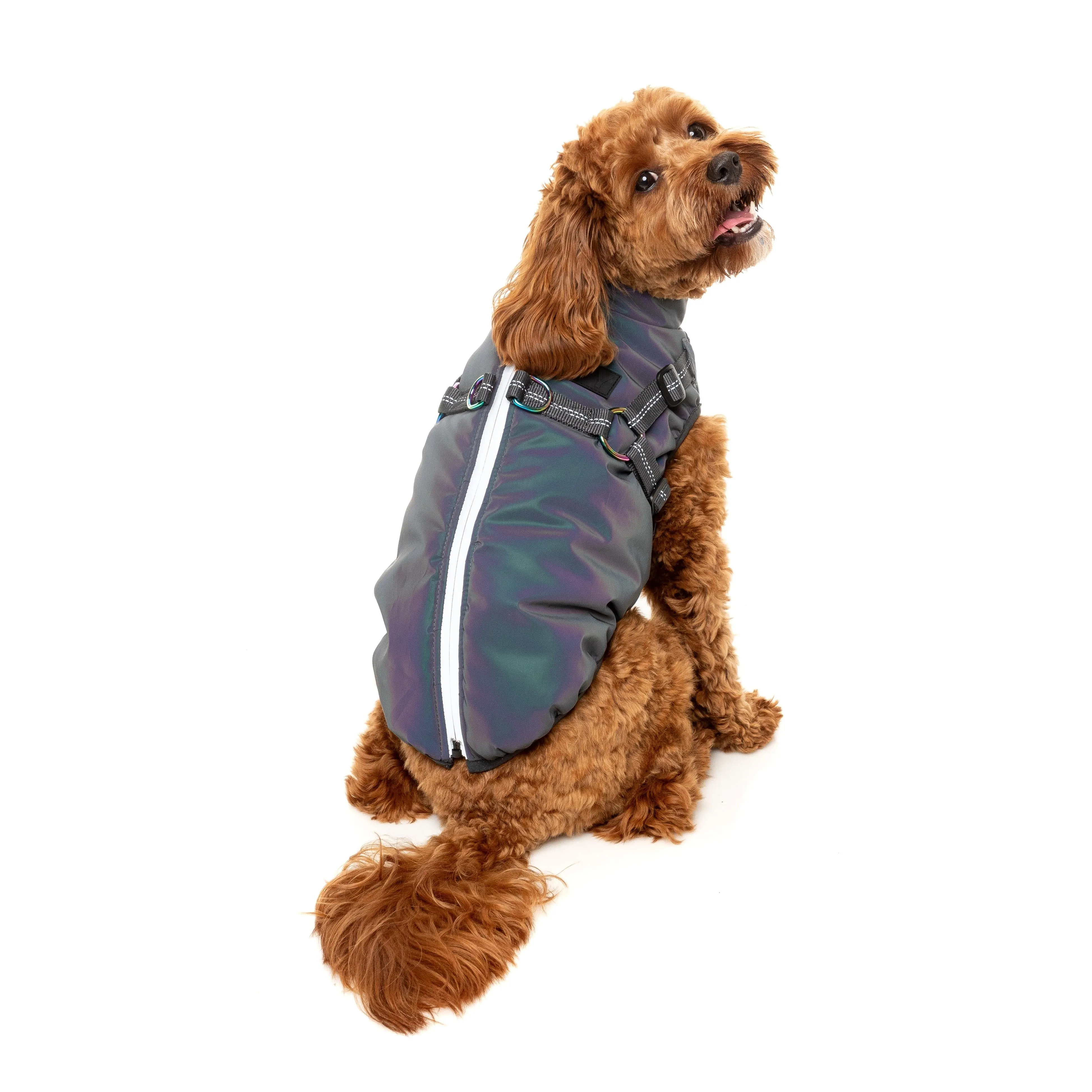 FuzzYard Dog Apparel Harness Jacket Reflective Flash Size 5 ^ ^