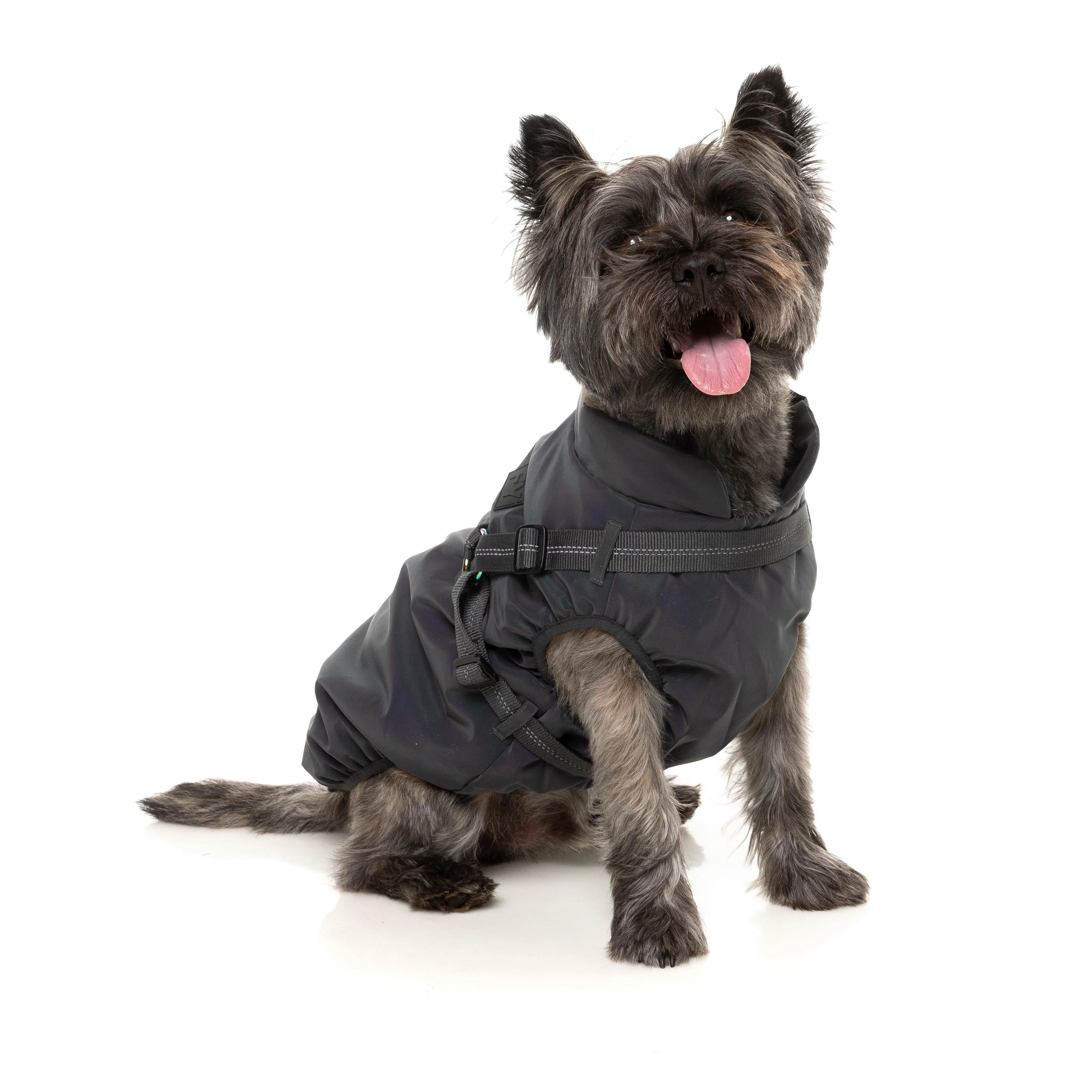 FuzzYard Dog Apparel Harness Jacket Reflective Flash Size 5 ^ ^