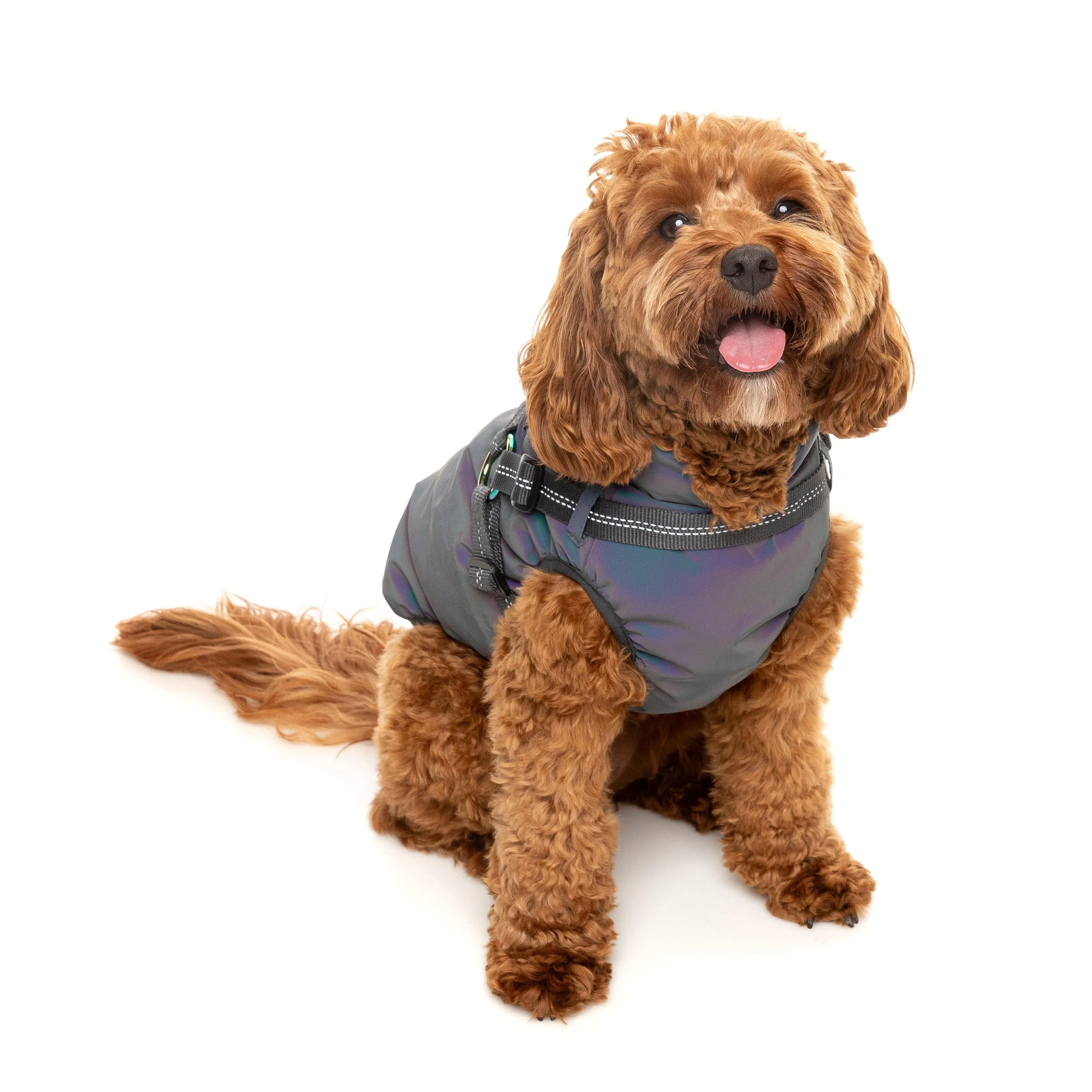 FuzzYard Dog Apparel Harness Jacket Reflective Flash Size 5 ^ ^