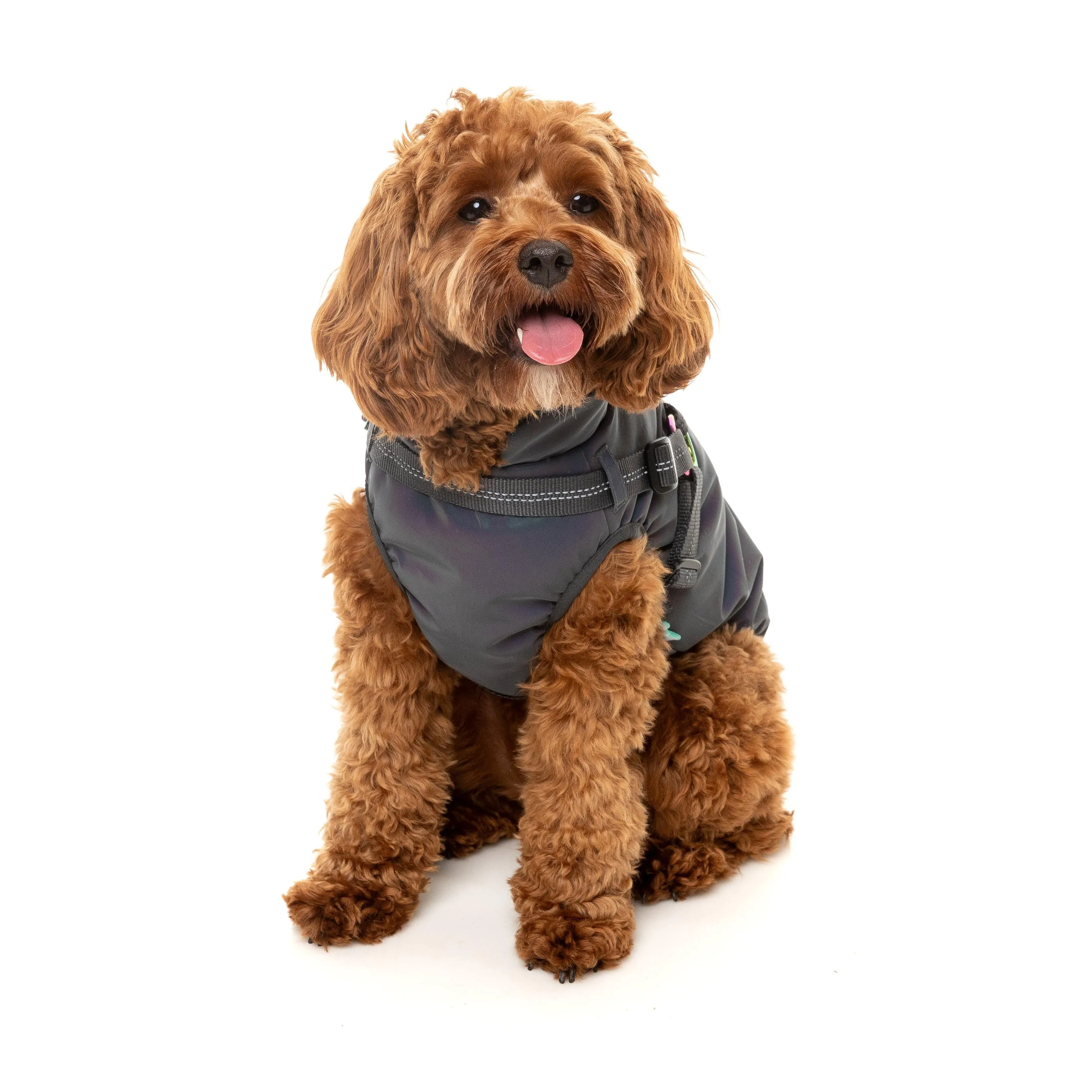 FuzzYard Dog Apparel Harness Jacket Reflective Flash Size 5 ^ ^