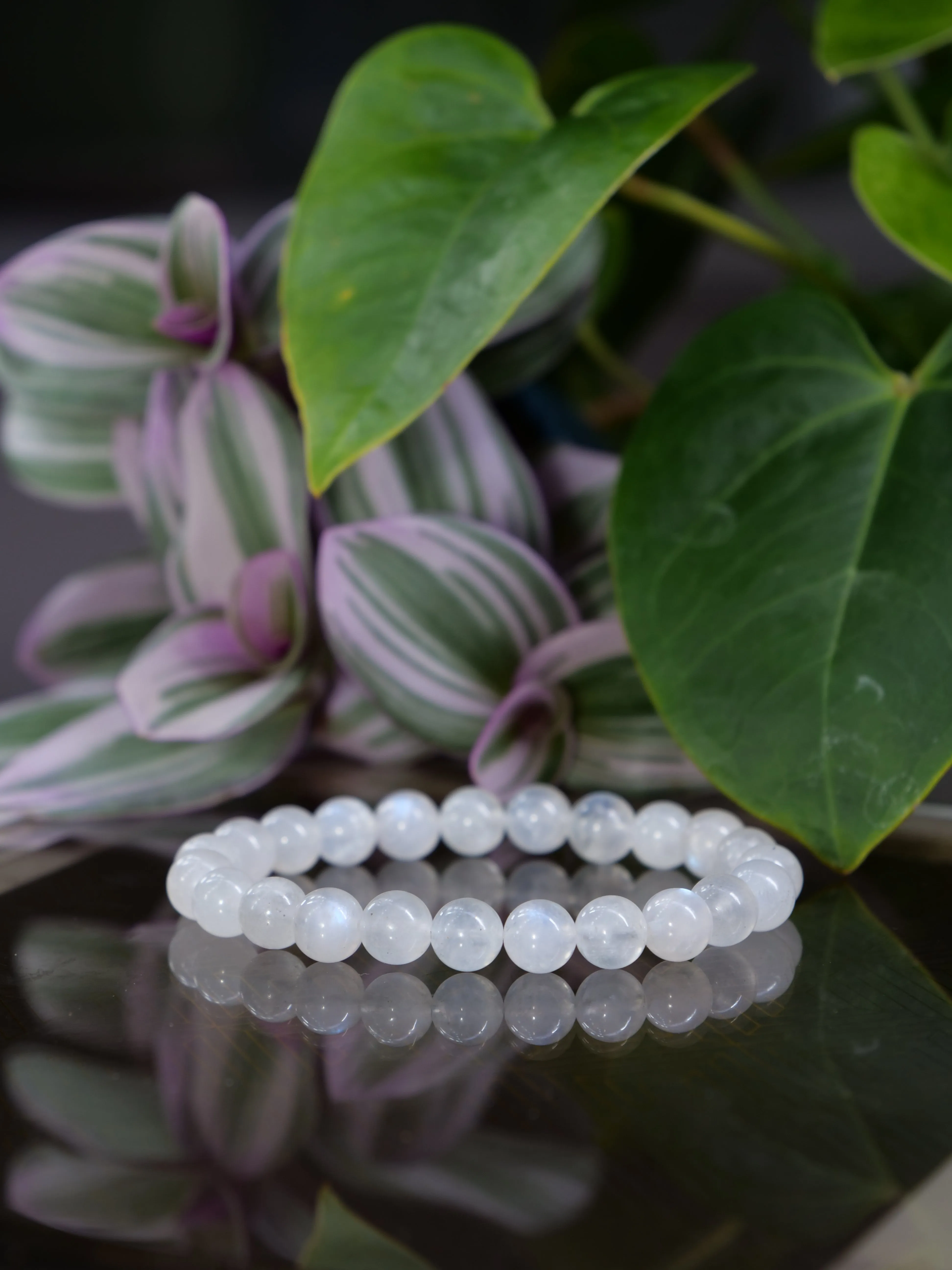 Moonstone 8mm Beaded Natural Gemstone Elastic Bracelet, Genuine Top Grade Gift Jewelry, Men Women Fashion Crystal Energy Jewellery