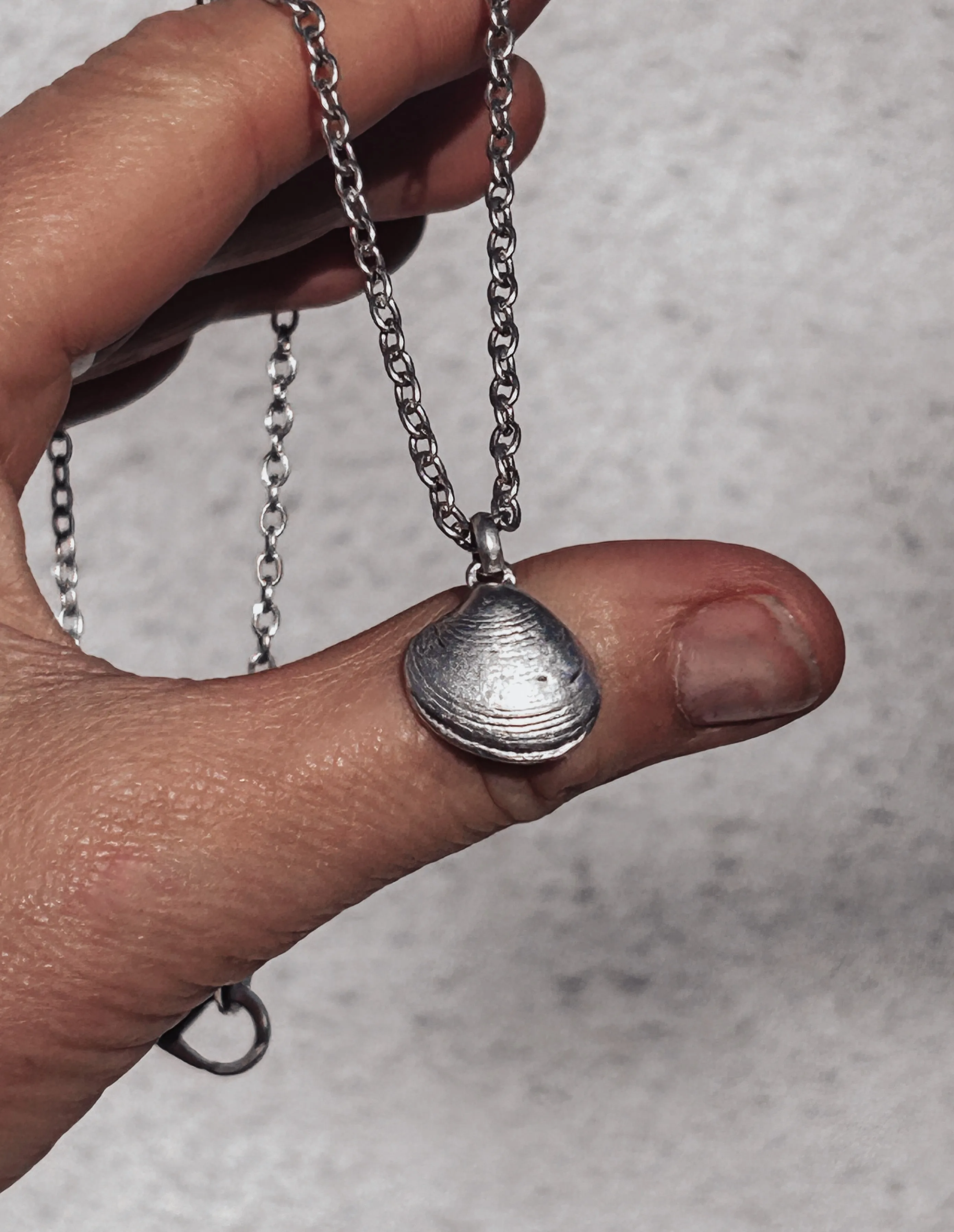 Small Clam Shell Necklace
