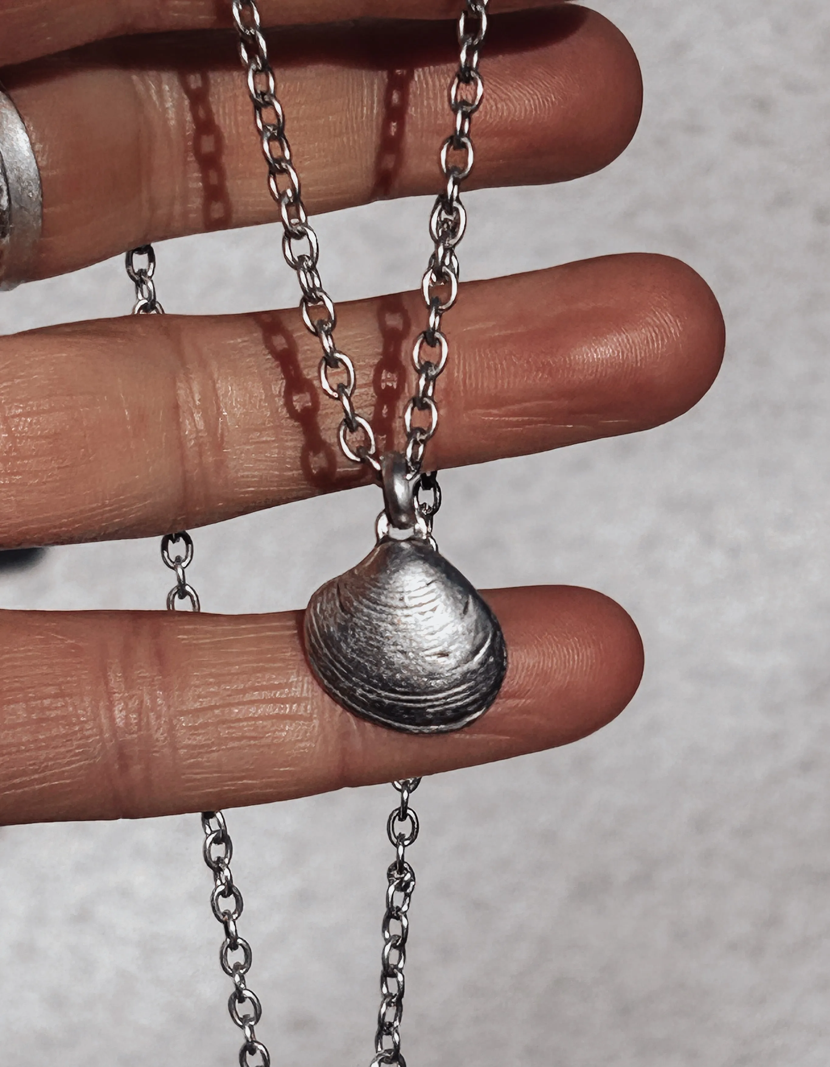 Small Clam Shell Necklace