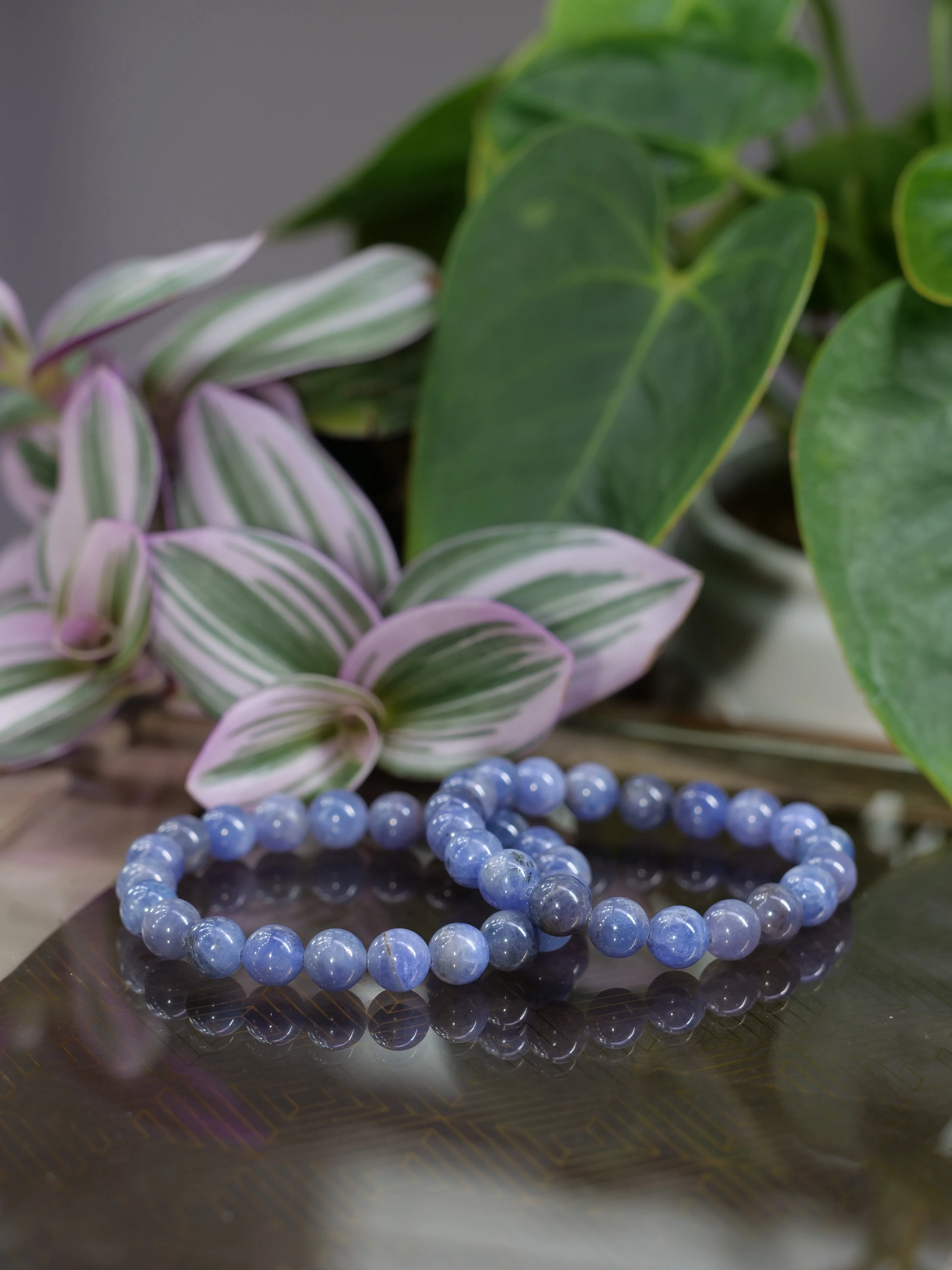 Tanzanite 8mm Beaded Natural Gemstone Elastic Bracelet, Genuine Top Grade Gift Jewelry, Men Women Fashion Crystal Energy Jewellery