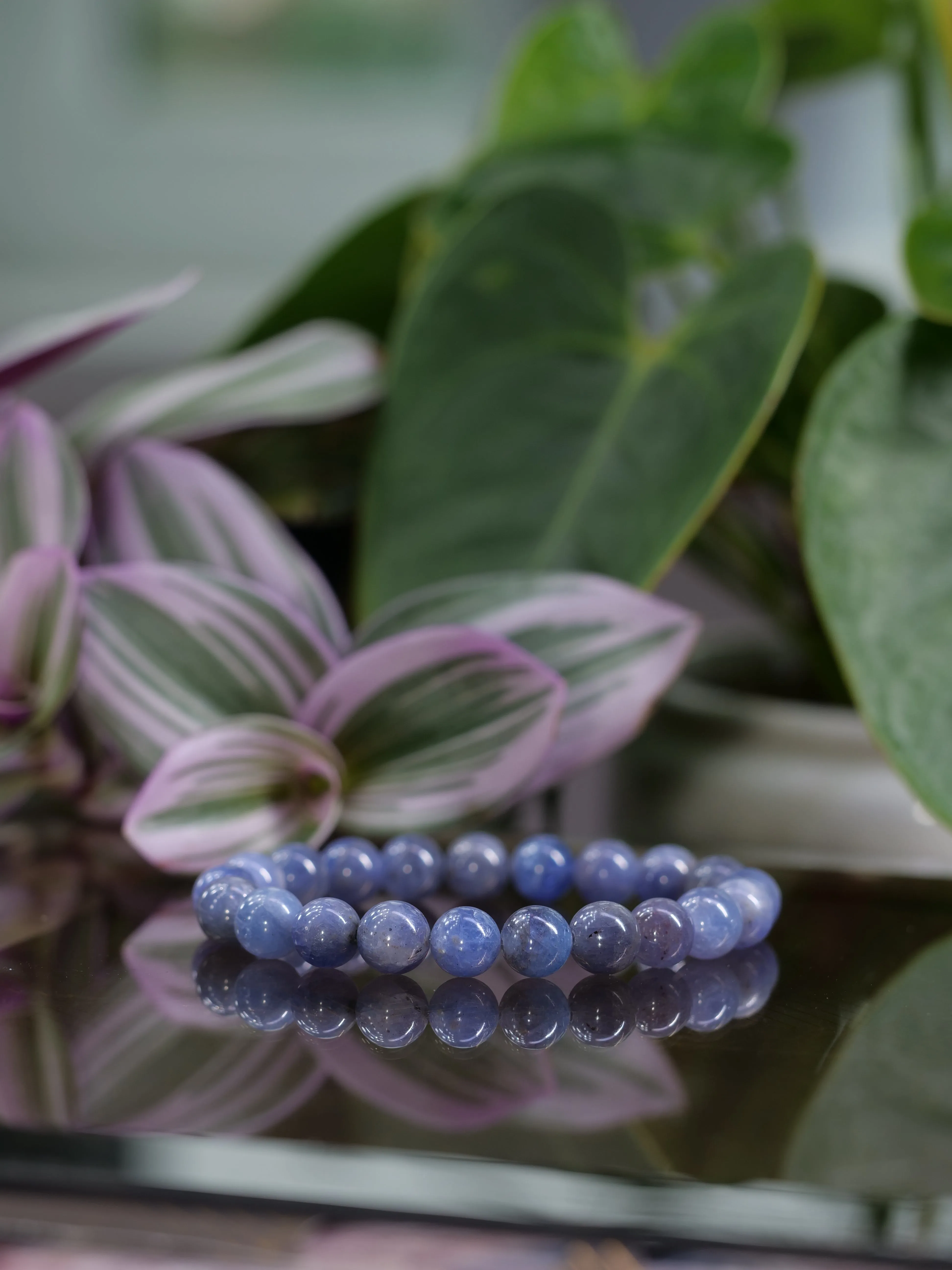 Tanzanite 8mm Beaded Natural Gemstone Elastic Bracelet, Genuine Top Grade Gift Jewelry, Men Women Fashion Crystal Energy Jewellery