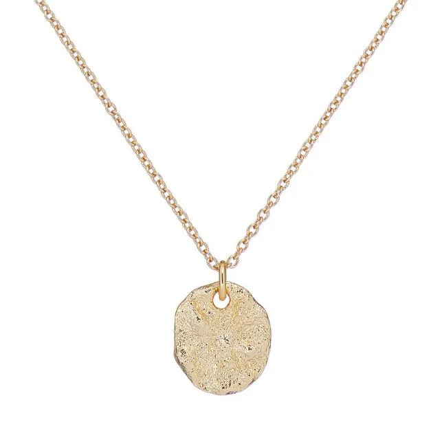 Womens Ted Baker Gold Mesra Moonrock Pendant Necklace